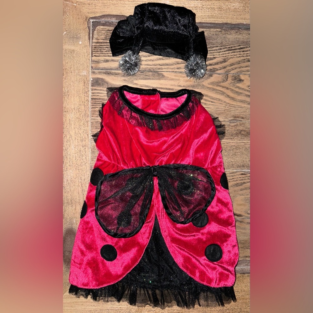 Lady bug Dog costume- size M